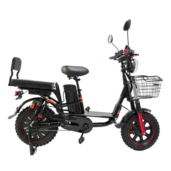 20-inch Ilan Princess II instrument head front and rear oil dish brushless gearless motor lithium battery electric bicycle